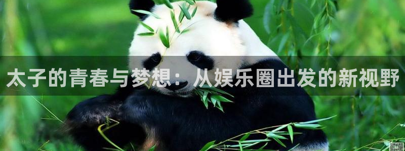 星空娱乐app：太子的青春与梦想：从娱乐圈出发的新视野