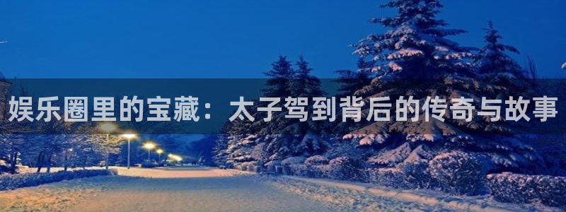 星空娱乐93299：娱乐圈里的宝藏：太子驾到背后的传奇与故事